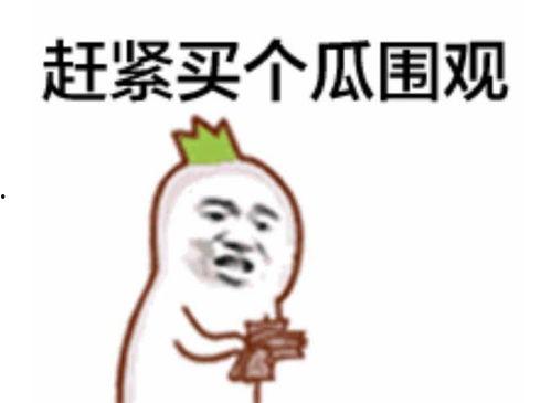 吃瓜表情应该怎么回复,吃瓜表情背后的社交心理学解析