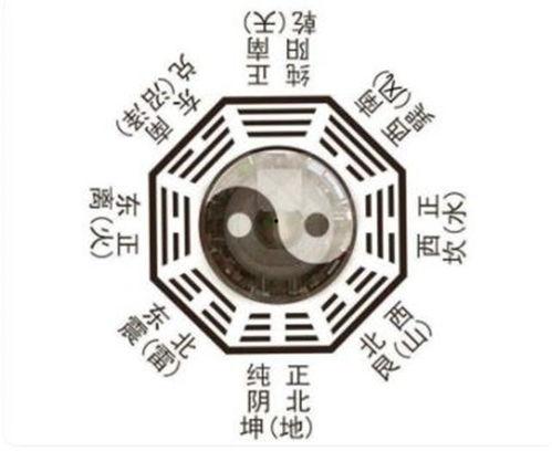 媛凤八卦,揭秘娱乐圈幕后故事，带你走进明星真实生活